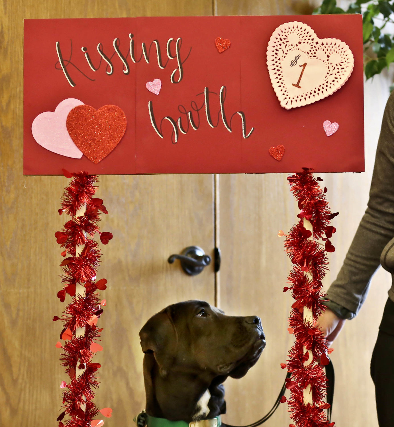 kissingbooth4